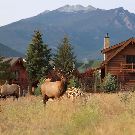 Chic Retreat Indoor Outdoor Fireplace, Private Jacuzzi, Great Location! Estes Park Exterior foto